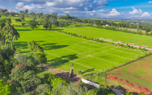 Prime 1/4 Acre Plots for Sale in Tigoni, Limuru Road – From KSh 11.5M